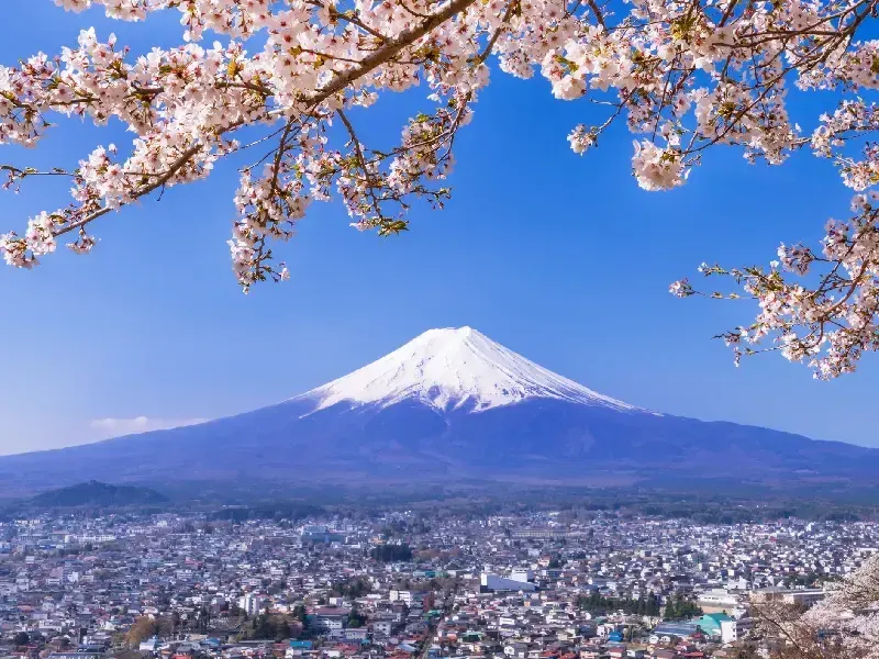 Tour por Japón 8 días, Japón en 8 días